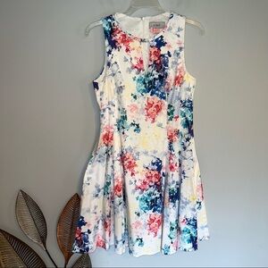Coast Sleeveless Fit And Flare Multi Dress j15